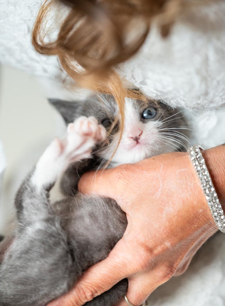 Mariage 78 Île-de-France