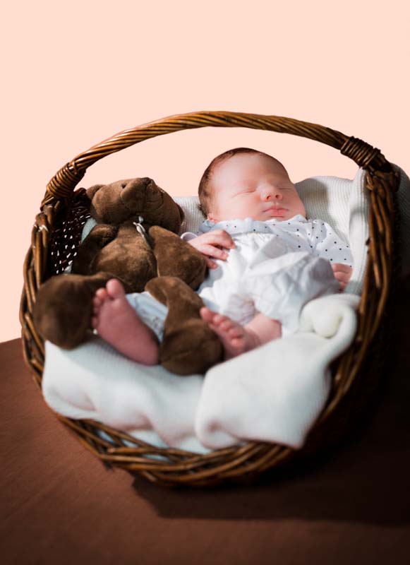 Nourrisson Arthur Luxark Bretagne